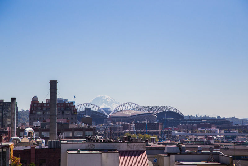 Mount Rainier at a distance