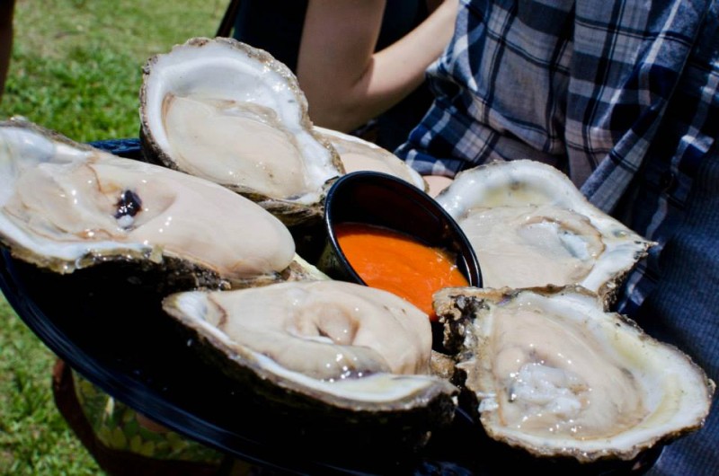 Giant oysters