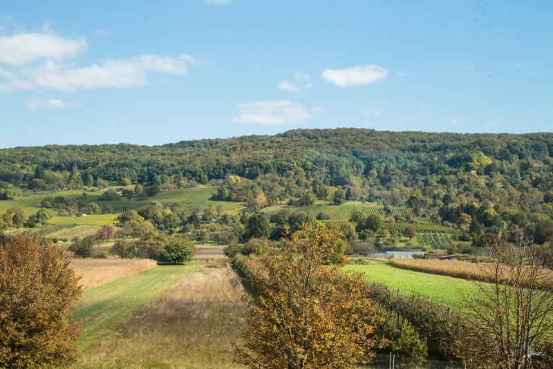 The view from Vitra Haus. Can this be my backyard, too?