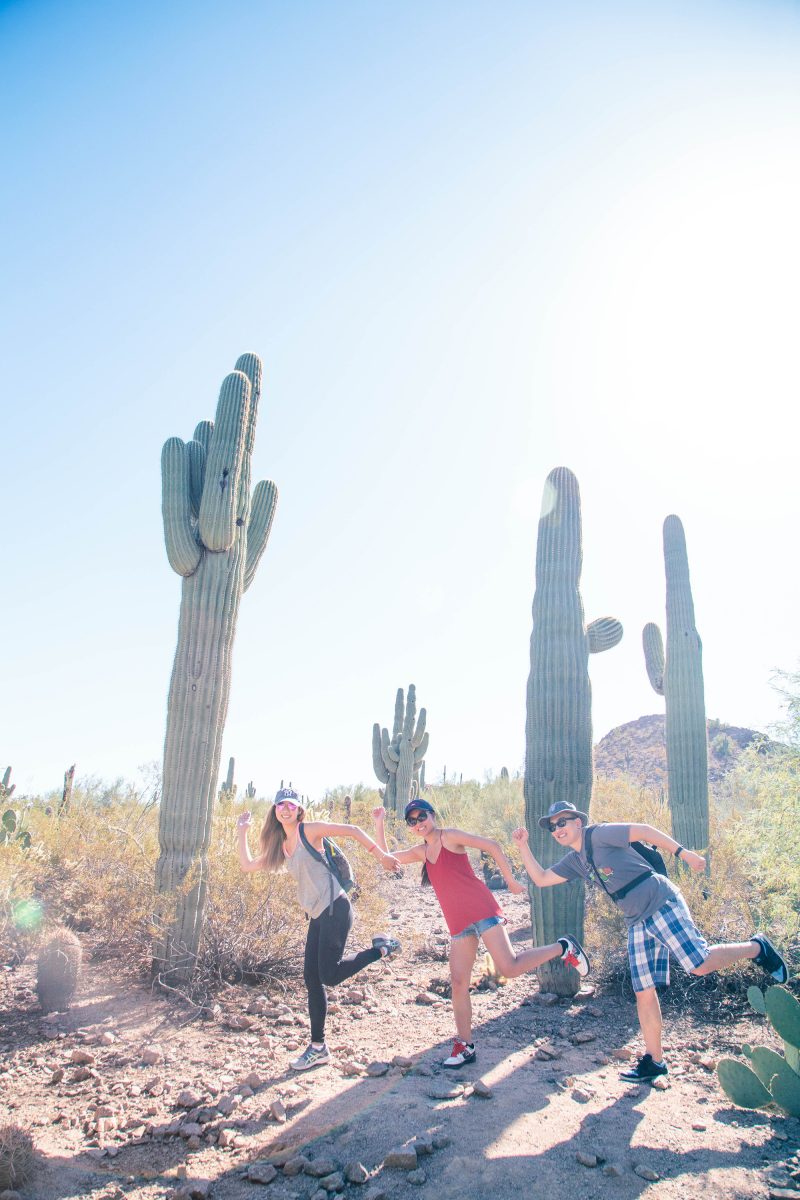 Phoenix Desert Botanical Garden