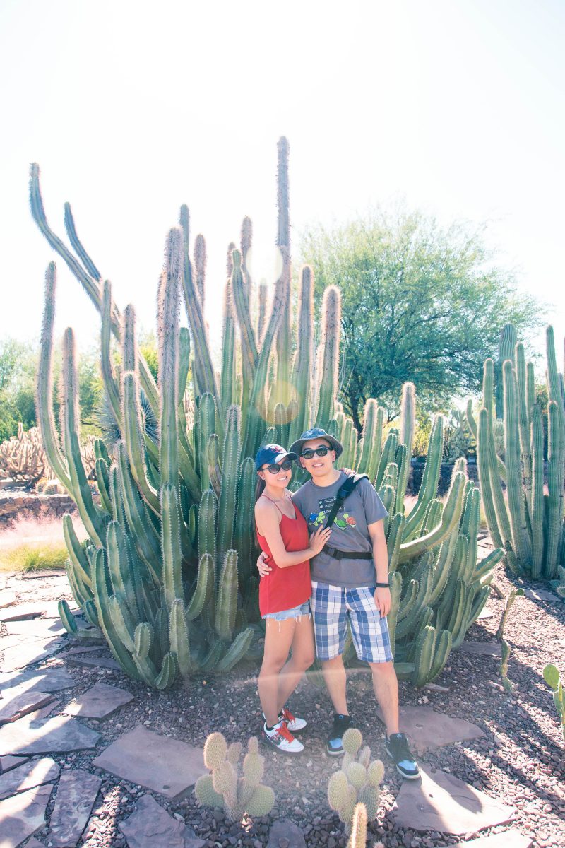 Phoenix Desert Botanical Garden